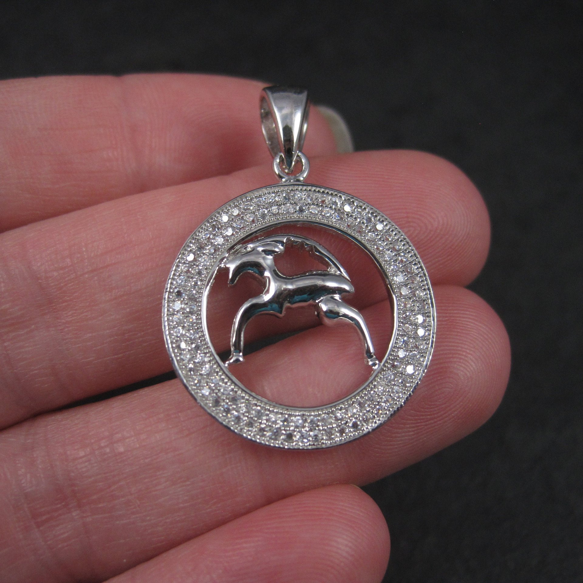 Sterling Zodiac Capricorn Pendant