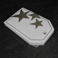 Gold Stars Glossy Gift Tags 2-1/4x3-1/2" Package of 50