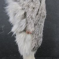 Vintage Sleepy Eye Native American Doll 7"
