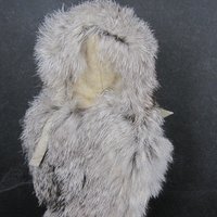 Vintage Sleepy Eye Native American Doll 7"