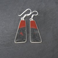 Sterling Silver Petrified Wood Earrings