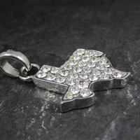 Silver Plated Rhinestone Texas Pendant