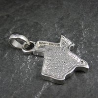 Silver Plated Rhinestone Texas Pendant