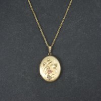 Vintage Black Hills Gold Hummingbird Locket Necklace Coleman Co NOS