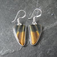 Sterling Silver Tigers Eye Earrings