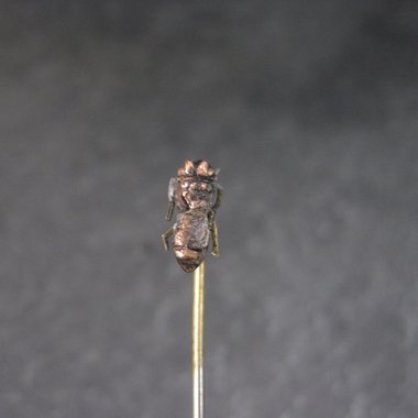 Antique Fly Bug Stick Pin